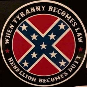 Meet your Posher, Otis